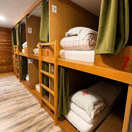 Hostel 1861 Châtel
